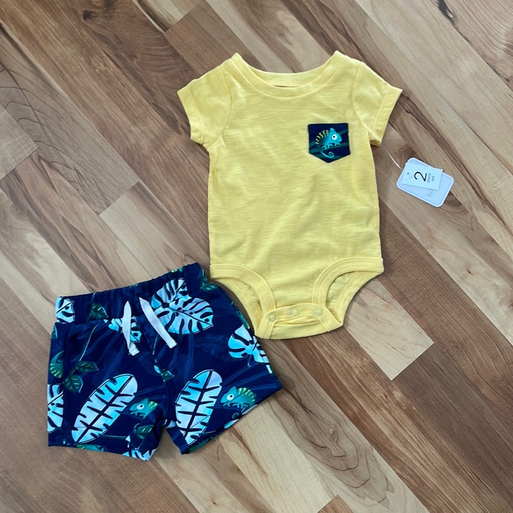 Lullaby Lane Two Piece Iguana Outfit - Multiple Sizes